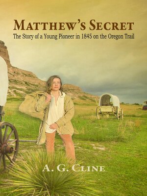 cover image of Matthew's Secret